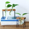 thumbnail image 4 of Plants Terrarium Glass Bulb Terrarium with Retro Solid Wooden Stand for Hydroponics Plants Desktop Home Garden Wedding Décor, 4 of 9