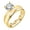 14kt Gold-Silver, variant on Envy Wedding Ring Set by Ginger Lyne Sterling Silver Engagement Ring and Band for Women