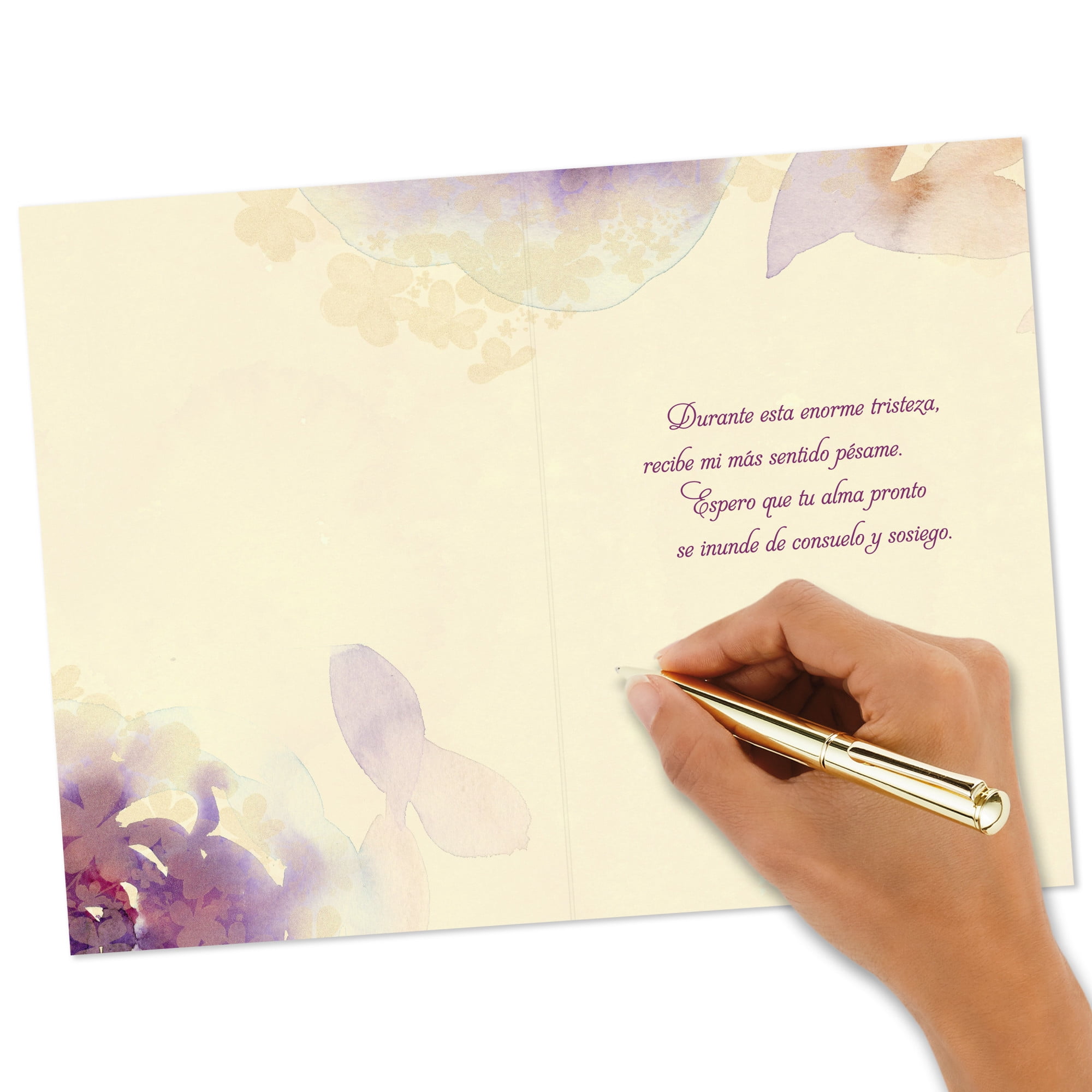 Hallmark VIDA Spanish-Language Sympathy Card (It Always Hurts to Say Goodbye)