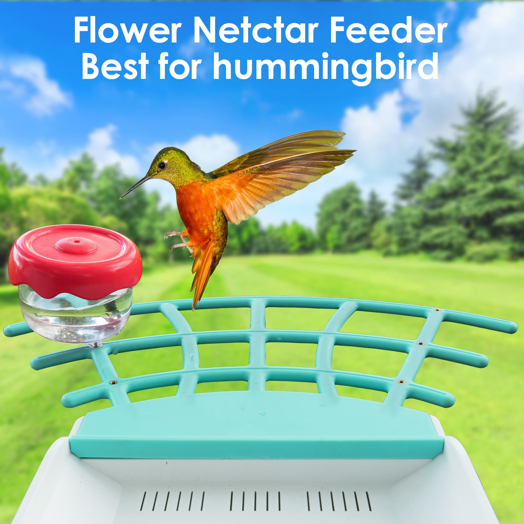 Birdkiss Bird Feeder Camera DIY Add-ons, Including Suet Ball, Mini Hummingbird Feeder, Fruit Holder, Jelly Feeder