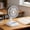 🔥 White_Hot, variant on ZYXWVU Desk Fan USB Rechargeable Desktop Mini Fan Portable Small Quiet Fan for Dorm Students Office Desk Bedroom Personal Cooling Summer Fan