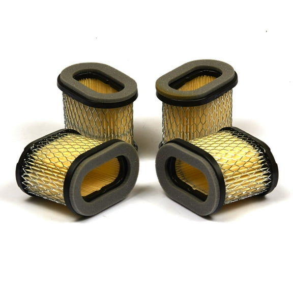 Briggs and Stratton Air Filter (4 of 697029)