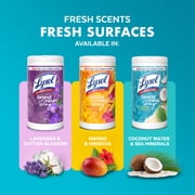 Lysol Disinfecting Wipes, All Purpose Cleaner, Multi Surface Antibacterial Cleaning Wipes, Cleaning Supplies, Coconut & Sea Minerals Scent, 80 Count