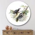thumbnail image 2 of Designart 'Ancient Birds In The Wild V' Traditional Circle Metal Wall Art 29x29 - Disc of 29, 2 of 5
