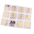 thumbnail image 1 of Etiquetas Engomadas Del Vientre de año, Etiquetas Engomadas de Protuberancia Del Bebé para año Baoblaze Etiqueta engomada del mes recién nacido, 1 of 8