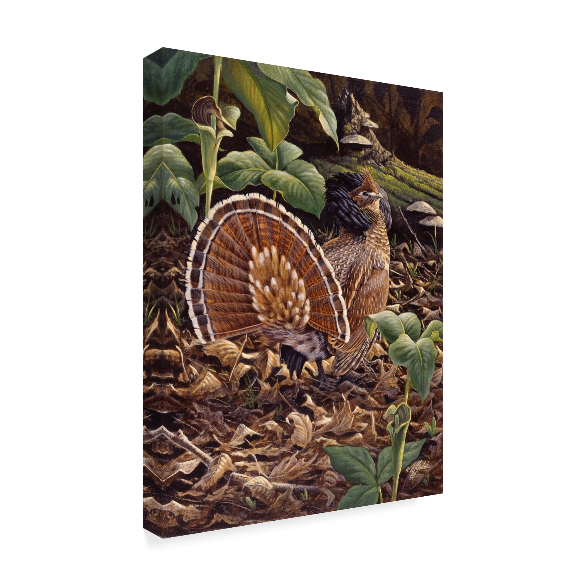 Trademark Fine Art 'May Display Ruffed Grouse' Canvas Art by Wilhelm Goebel