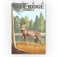 thumbnail image 2 of Blue Ridge, Georgia, White Tailed Deer (36x54 Giclee Gallery Art Print, Vivid Textured Wall Decor), 2 of 3