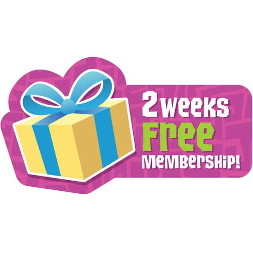 Animal Jam Club Geoz Play Set Walmartcom