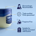 thumbnail image 3 of Vaseline Petroleum Jelly 2-Size SAF21 Variety 4-Pack - Hypoallergenic Skin Protectant, Unscented Healing Ointment for Beauty & Personal Care, 3 of 4