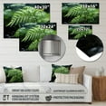 thumbnail image 4 of Designart "A Close Up Photo of Ferns V" Floral Metal Art Print, 4 of 5