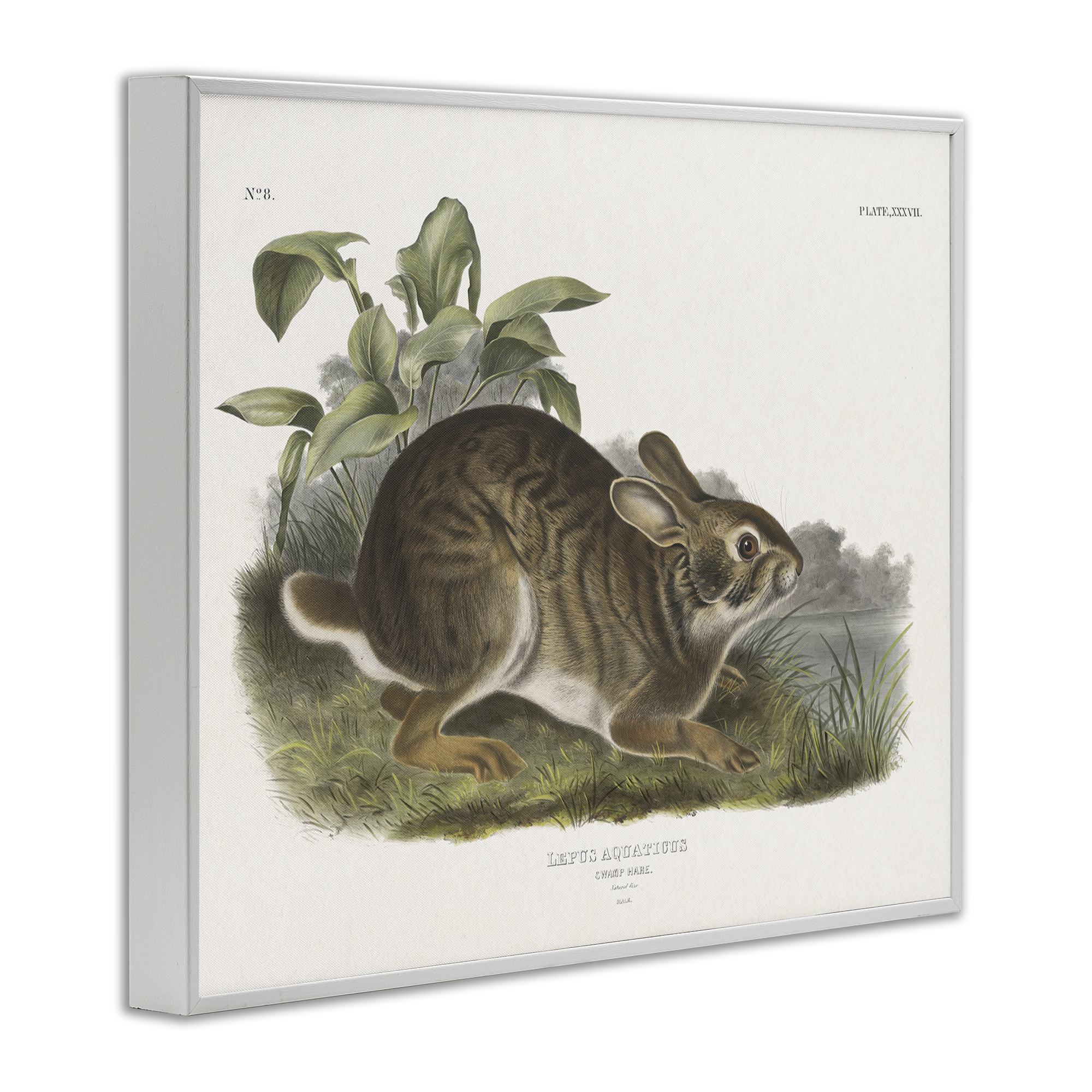 Stupell Industries Vintage Cottage Hare Animals & Insects Painting White Framed Art Print Wall Art, 30 x 24