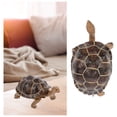 thumbnail image 3 of Artificial Tortoise Decoration Tortoise Model Adornment Wildlife Animal Model, 3 of 5