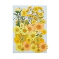 thumbnail image 1 of Flores Prensadas Secas Reales Xihbxyly Set con Pegatinas, 1 of 1
