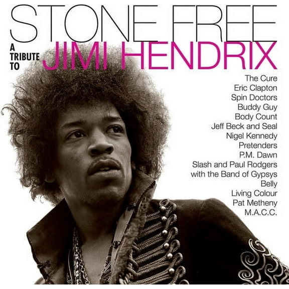 Jimmy Tribute Hendrix - Stone Free: Jimi Hendrix Tribute - Music & Performance - Vinyl