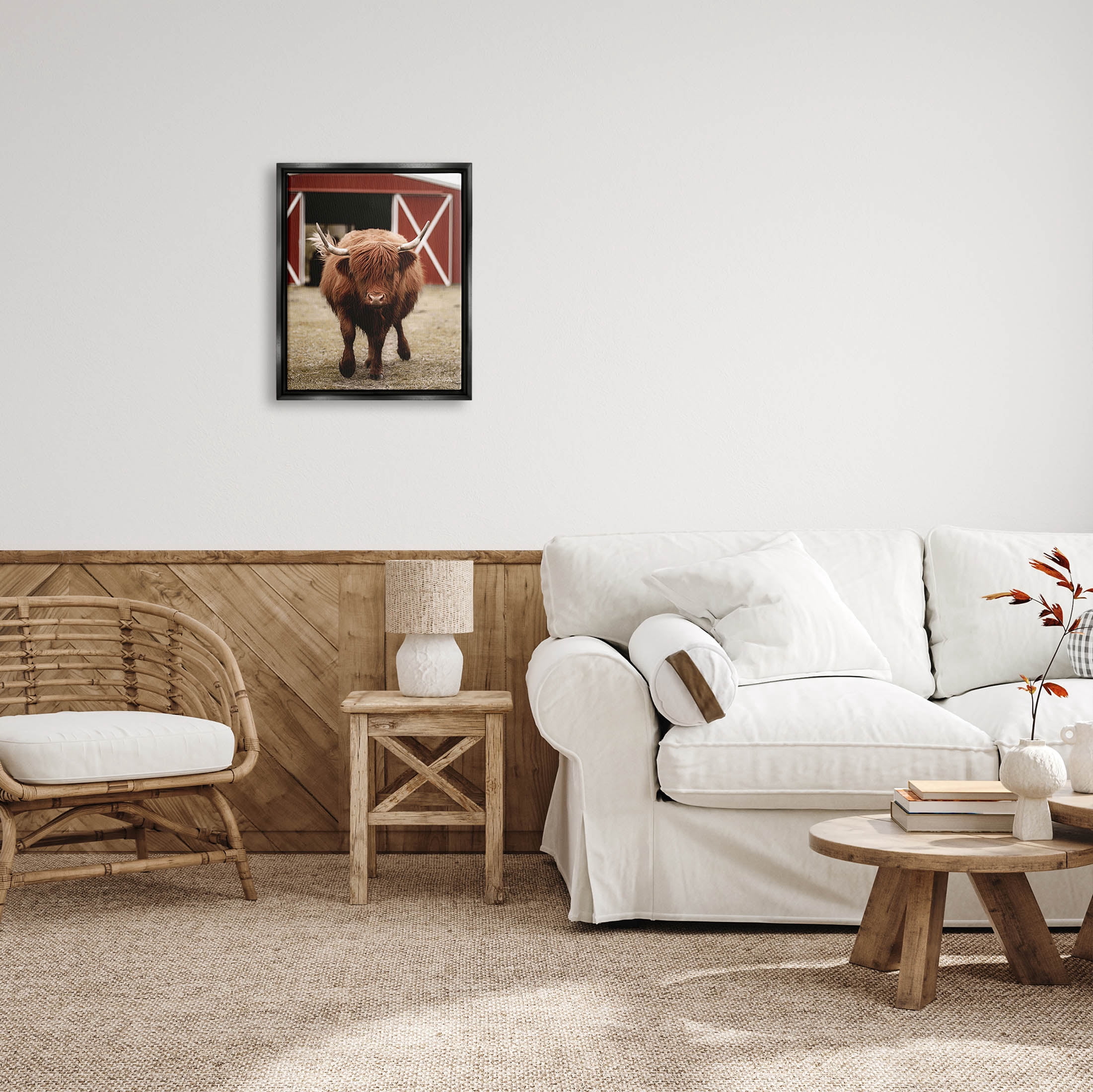 Stupell Industries Trotting Highland Cattle Bold Red Barn Photograph Jet Black Floating Framed Canvas Print Wall Art, Design by Dakota Diener