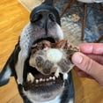 thumbnail image 6 of Scout & Zoe's: Ox Tails - 3oz Dog Treats, Freeze-Dried, Single Ingredient, Crunchy Pet Chews, High Protein Snack & Reward, Joint Support, USA Sourced, 6 of 12