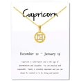 thumbnail image 3 of Giorgio Bergamo Stainless Steel Yellow Gold Plated Zodiac, Astrology, Horoscope, Constellation Cubic Zirconia Amulet Disc Pendant Mens Womens Necklace, Free Micro Fiber Cloth, Capricorn, Gold, 3 of 7