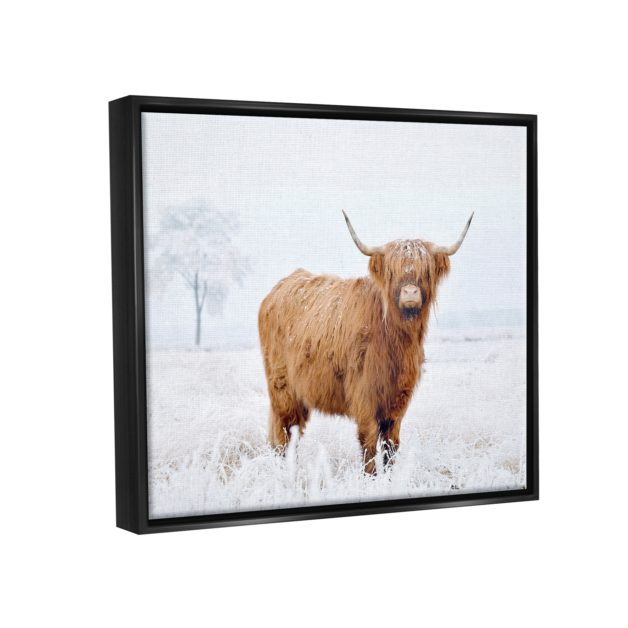 Stupell Industries Highland Cow in Snow Animals & Insects Photography Black Floater Framed Canvas Art Print Wall Art, 21 x 17