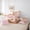 Pink B, variant on Erosebridal Monogrammed L Twin Bedding Sets for Kid, Capybara Lover Bedding Comforter Set, Pink Reversible, 7pcs