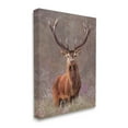 thumbnail image 2 of Stupell Elk Portrait Forest Grove Animals & Insects Painting Gallery Wrapped Canvas Print Wall Art, 2 of 5