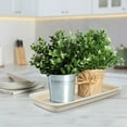 thumbnail image 4 of 4Pcs Beige Rectangular Plastic Flower Pot Saucer for Water Collection and Floor Protection, 4 of 9