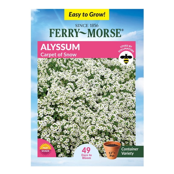 Ferry-Morse 170MG Alyssum Carpet Of Snow Annual Flower Seeds, Full Sun