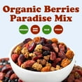 thumbnail image 7 of Organic Berries Paradise Mix, 7 Pounds — Non-GMO, Raw, Vegan — by Food to Live, 7 of 7