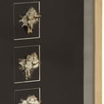 thumbnail image 2 of Abstract Shell Wall Art, 2 of 2
