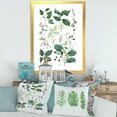 thumbnail image 3 of Designart 'Ancient Botanicals VIII' Traditional Framed Art Print, 3 of 4