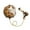Brown, variant on Qocolhg Up to 40% off! Cute Water Gun Backpack Squirt Gun Water Blaster for Toddler, Water Gun for Kids Ages 4-8, Summer Outdoor Toys for Boys Girls Pool Summer Outdoor Beach Fighting Toys Pool Fun