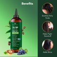 thumbnail image 4 of Aceite capilar Botanic Hearth Tea Tree con aceites de jojoba y semillas de uva, 200 ml, 4 of 7
