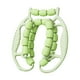 thumbnail image 2 of Rodillo de masaje manual de 23 ruedas con abrazadera circular para piernas, masajeador de fascia y músculos relajantes. Verde, 2 of 9