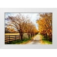 thumbnail image 3 of Alan Hausenflock 18x13 White Modern Wood Framed Wall Art Titled - Glen Allen Farm IV, 3 of 5