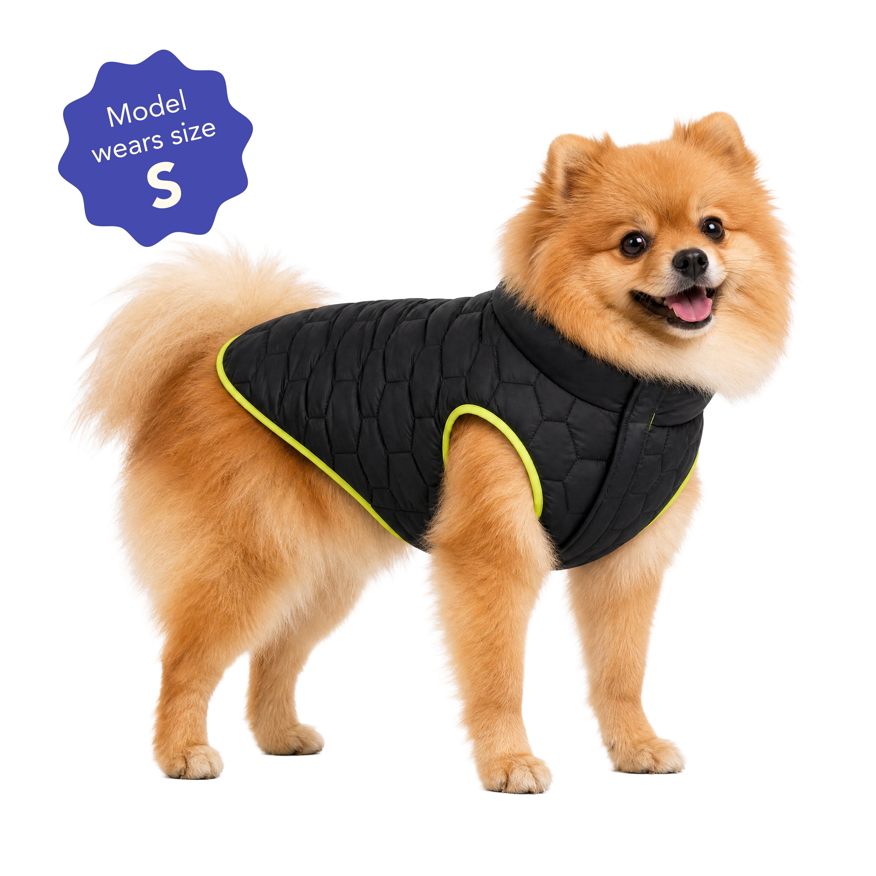 Oodles Quilted Fall Puffer Dog Jacket, Black, Small