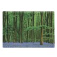 thumbnail image 1 of Woodland Cutting Board, Spring Sunshine in a Bluebell Wood Summer Dream Holiday Getaway Destination, Decorative Tempered Glass Cutting and Serving Board, in 3 Sizes, by Ambesonne, 1 of 2