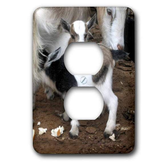 3dRose, Pygmy goat family, 2 plug outlet cover