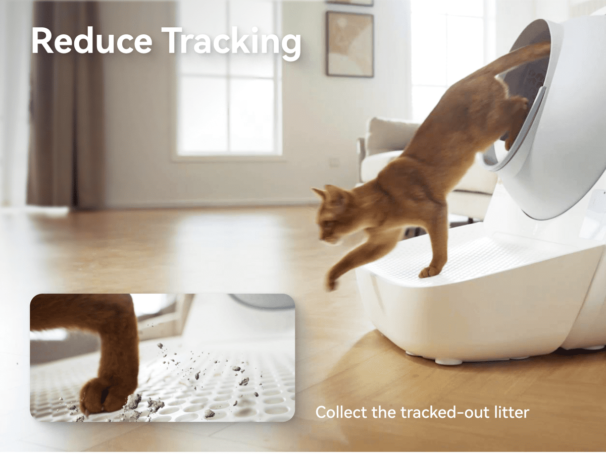 CATLINK 65L Self Cleaning Litter Box for Multiple Cats, 5GHz Camera with Real Time Monitor, Cat Litter Box with Ramp, White