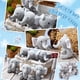 thumbnail image 4 of Peluche HyDren con forma de minielefante de peluche, 10 cm, 8 unidades, color gris, 4 of 7