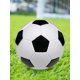 thumbnail image 4 of Fútbol Profesional PVC Inconsútil La Talla 5 Del para El Juego Partido Deportivo, 4 of 9