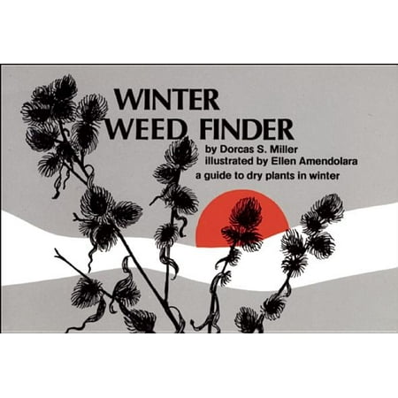 Winter Weed Finder : A Guide to Dry Plants in (Best Way To Dry Weed Plants)