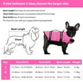 thumbnail image 4 of NEWEEN Dog Life Jackets Dog Life Vests for Swimming Beach Boating with High Buoyancy Dog Flotation Vest for Small/Medium/Large Dogs, Blue, L, 4 of 10