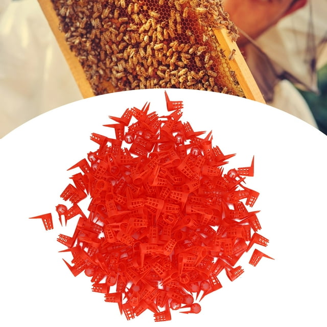 Plastic Bee Queens Cage, Protective Bee Queens Protective Cover, 250PCS for Farm Beekeeper Bee Bee Queens Beekeeping