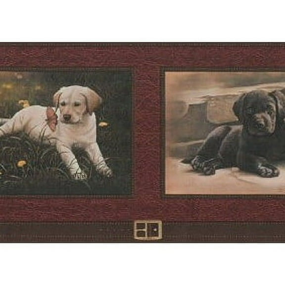 878744 Lab Puppies Framed Wallpaper Border GQ156b
