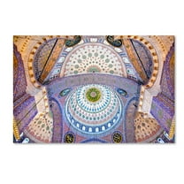 Trademark Fine Art 'The Blue Mosque' Canvas Art by Nora De Angelli