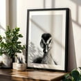 thumbnail image 4 of Baby Duck - Photography Black and White Wildlife Animal Portrait Minimalist Nature Black Framed Wall Art Print 20 x 30 inches, 4 of 8