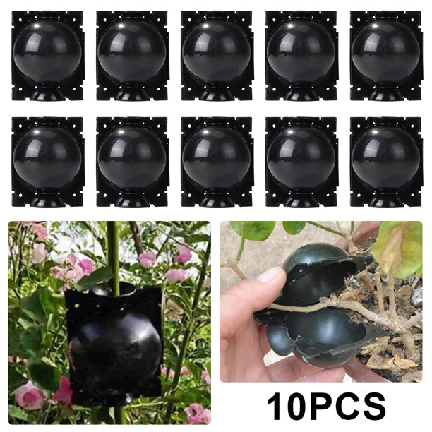 10x Caja Enraizamiento Plantas Corte Propagación (M)