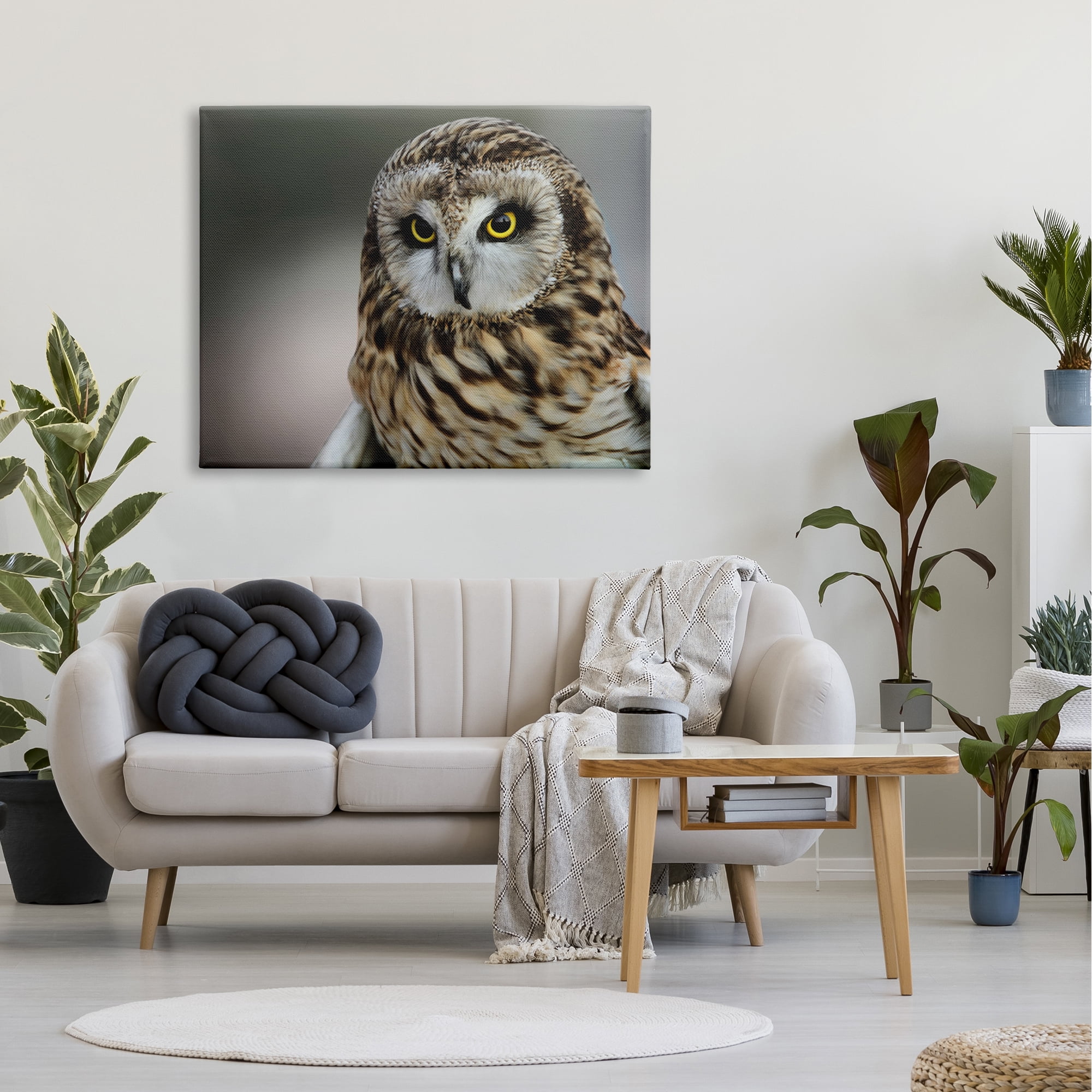 Stupell Industries Fierce Hunting Owl Modern Bokeh Photography Effect ,48 x 36, Design by Daniel Sproul