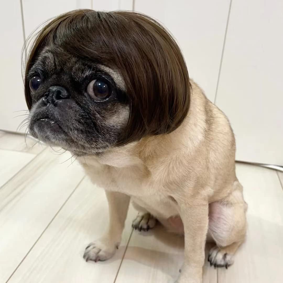 NETSENG Dog Cospaly Wig for Small Dogs Dress up for Halloween Dog Wigs for Medium and Large Dogs Pet Halloween Decorations