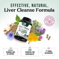 thumbnail image 6 of Liver Cleanse Detox & Repair - Milk Thistle Supplement for Digestion & Immune Health - Ginger Root, Choline & Dandelion Root - Herbal Liver Support with Silymarin, Beetroot & Artichoke - 120 Capsules, 6 of 9