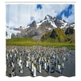 thumbnail image 2 of Ambesonne Penguin Shower Curtain, Arctic Animals at Beach, 69"Wx75"L, Azure Blue Green Brown, 2 of 4